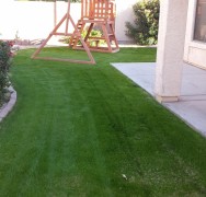 Rye grass overseeding