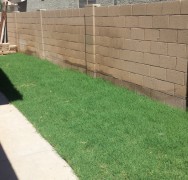 New Bermuda sod and sprinkler installation